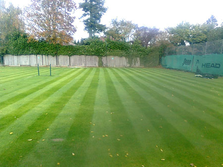 Tennis courts completed with new grass sward